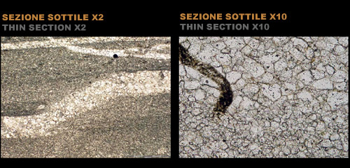 Sezioni Section